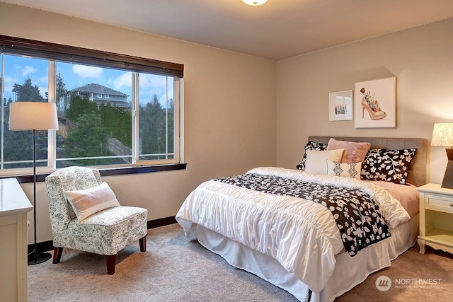 view of carpeted bedroom