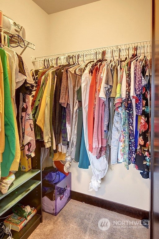 spacious closet featuring carpet floors