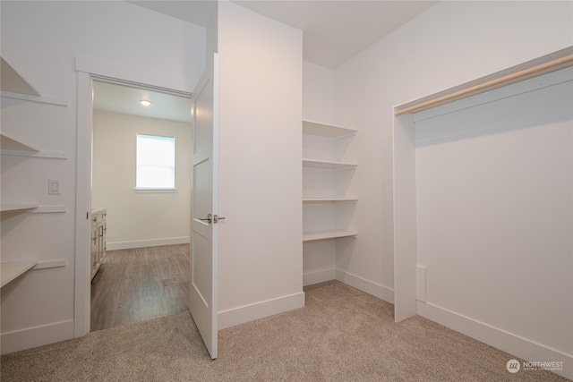 walk in closet with light carpet