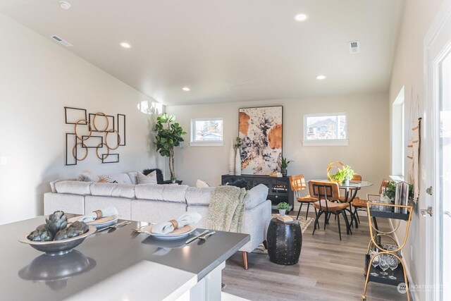 living room with light hardwood / wood-style flooring