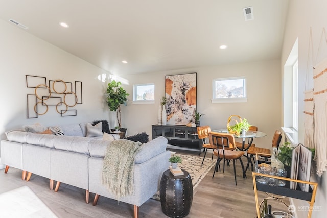 living room with wood-type flooring