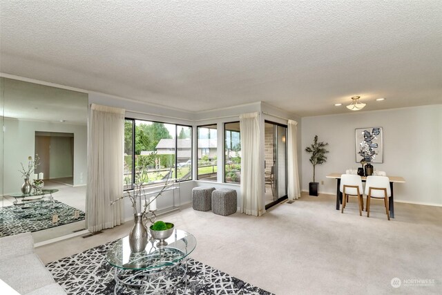 living room featuring a textured ceiling and light carpet