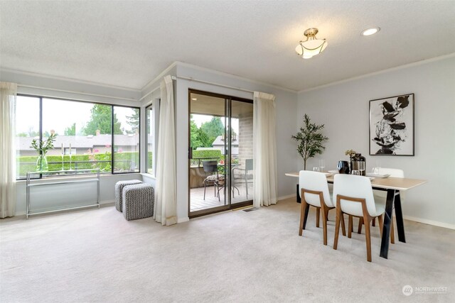 carpeted dining area featuring a textured ceiling and crown molding