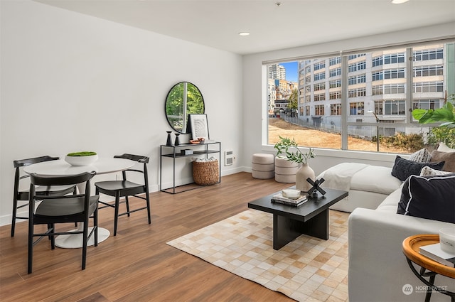 living room featuring light hardwood / wood-style floors