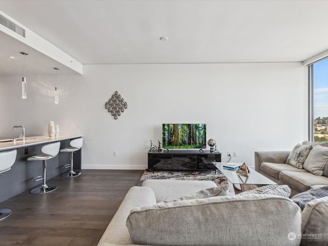 living room with sink and dark wood-type flooring