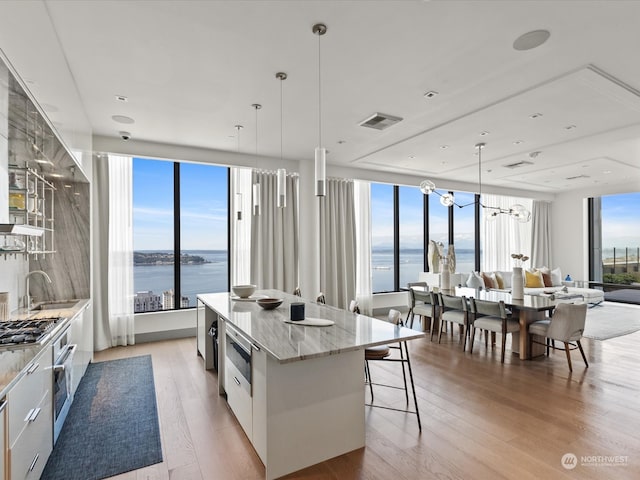 kitchen featuring light hardwood / wood-style floors, plenty of natural light, and a water view