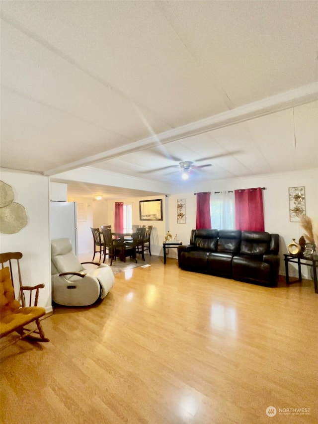 living room with ceiling fan and light wood-type flooring