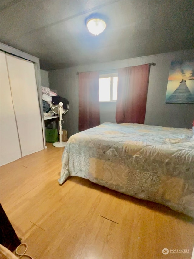 bedroom featuring a closet and hardwood / wood-style floors