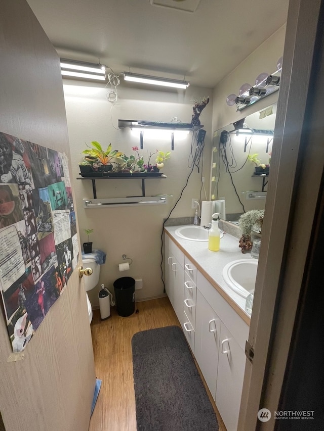 bathroom with vanity and hardwood / wood-style flooring