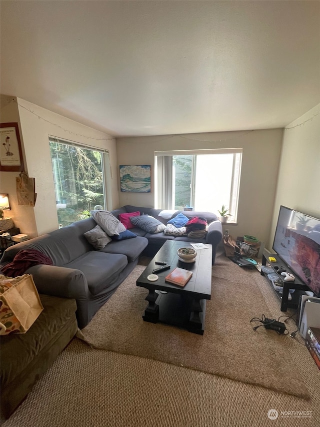 view of carpeted living room