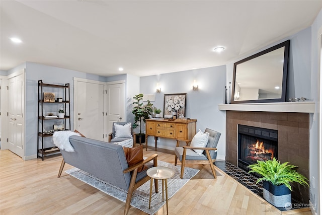 living room with a fireplace and wood-type flooring