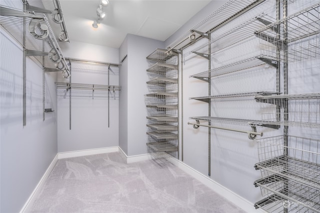 spacious closet featuring carpet flooring