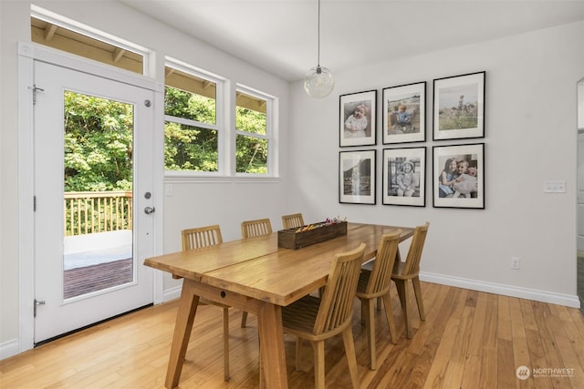 dining space with light hardwood / wood-style flooring