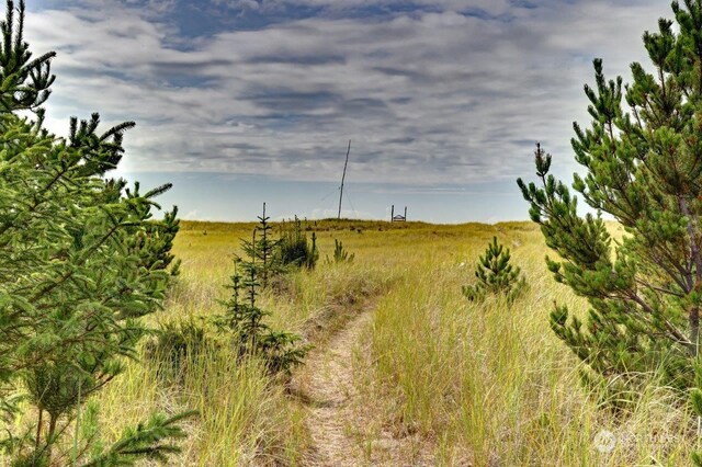 view of local wilderness with a rural view