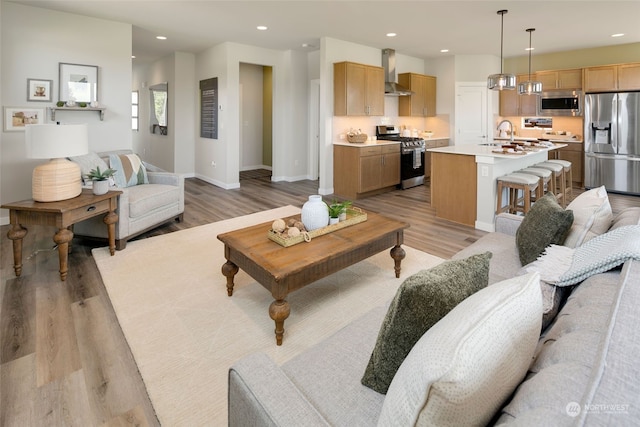 living room featuring light hardwood / wood-style floors and sink