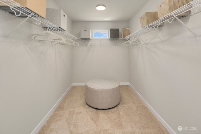 spacious closet with carpet flooring