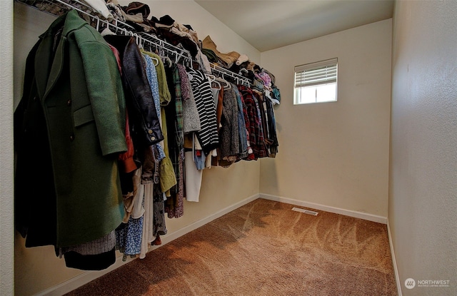 walk in closet with carpet