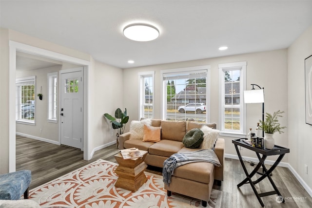 living room featuring hardwood / wood-style flooring