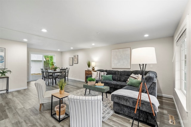 living room featuring hardwood / wood-style floors