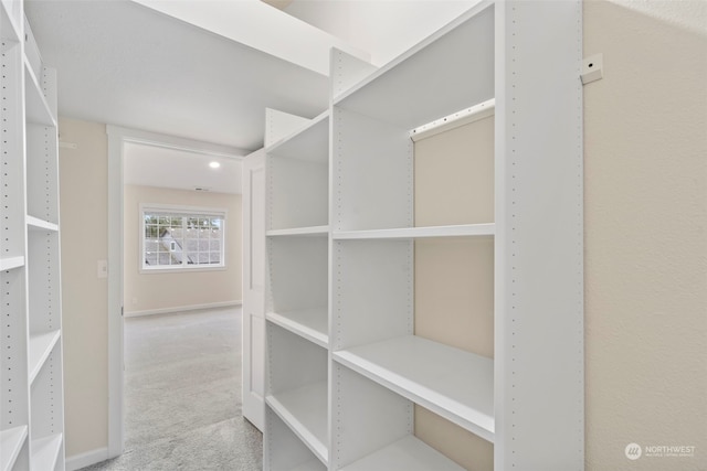 spacious closet featuring light colored carpet