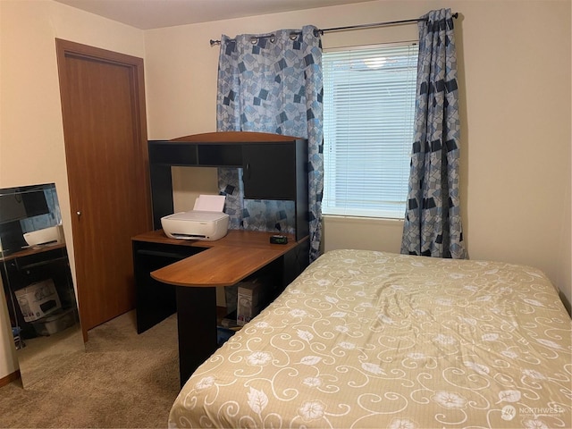 11714 9th Avenue Ct E, Tacoma, WA 98445 - bedroom featuring carpet