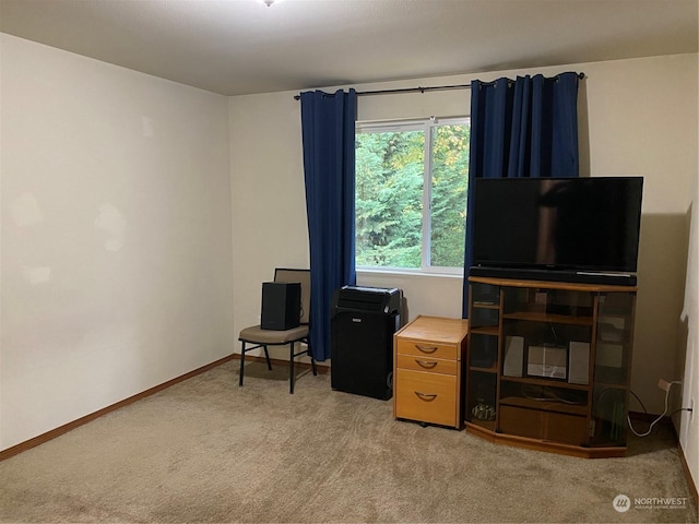 11714 9th Avenue Ct E, Tacoma, WA 98445 - interior space featuring baseboards and light carpet