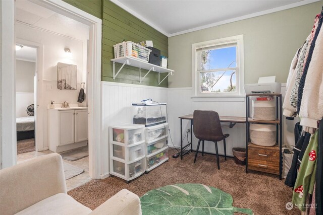 carpeted office space with sink and crown molding