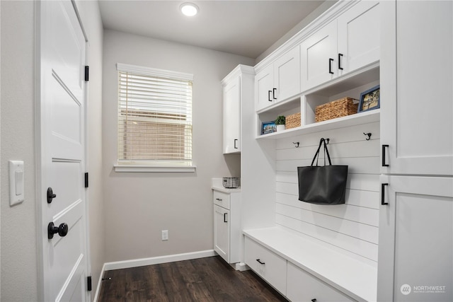 mudroom featuring dark hardwood / wood-style flooring