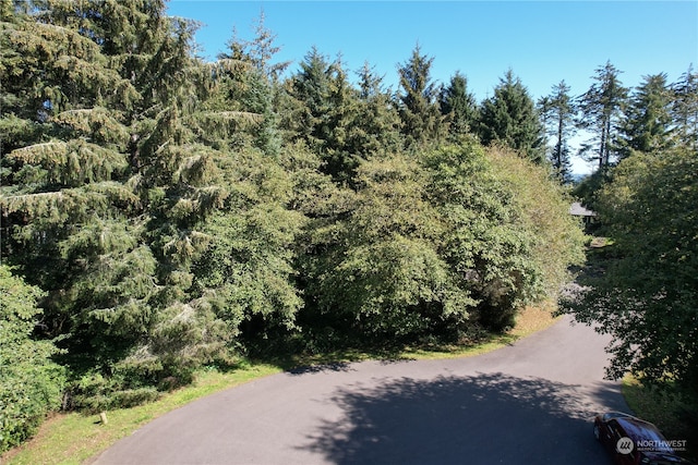 Listing photo 3 for 768 Sandpiper Ct SE, Ocean Shores WA 98569