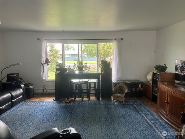 living room featuring wood-type flooring and a baseboard radiator