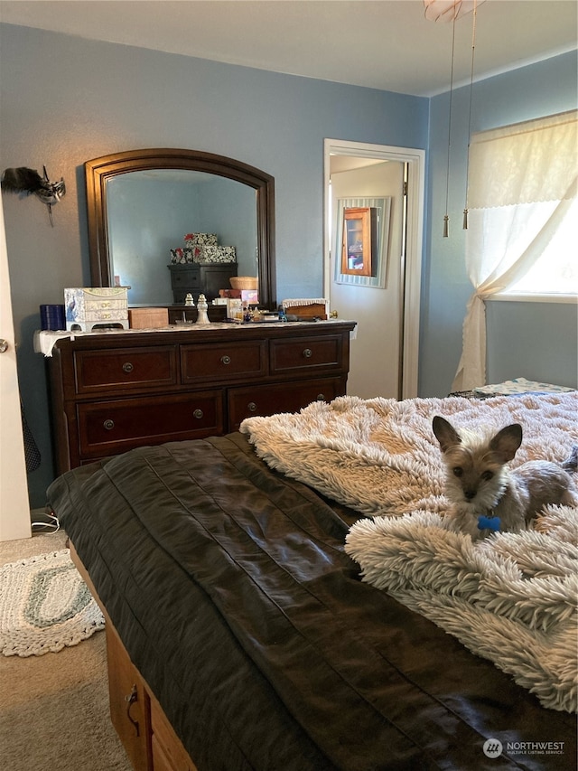 view of carpeted bedroom