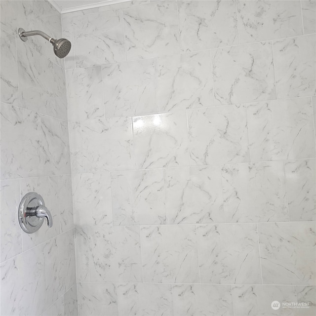 room details with tiled shower