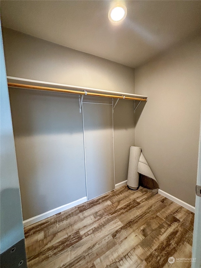 spacious closet featuring hardwood / wood-style flooring