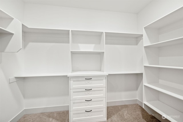 walk in closet with light colored carpet