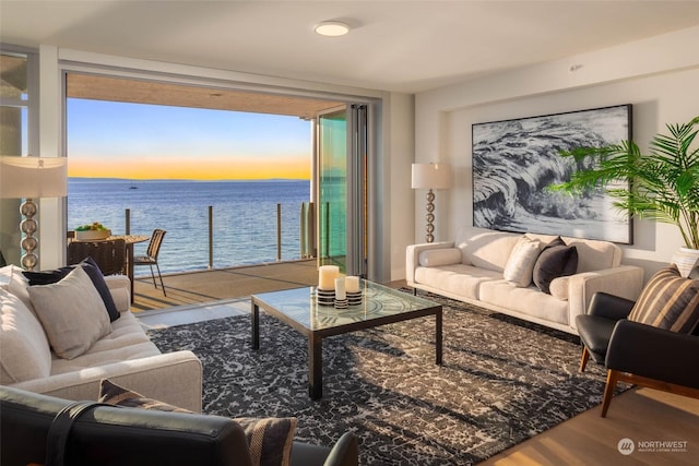 living room featuring a wall of windows, a water view, and wood finished floors