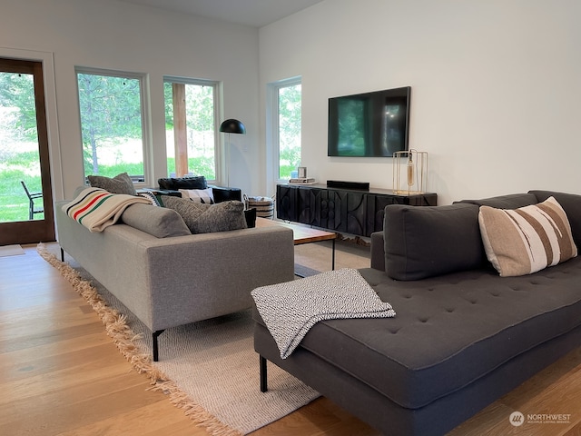 living room featuring light hardwood / wood-style flooring