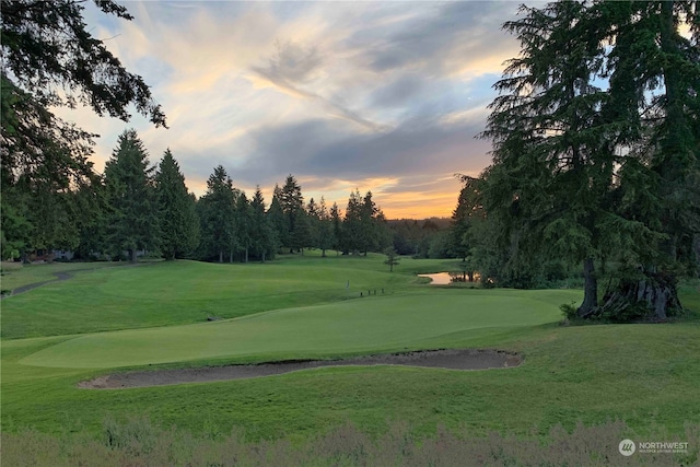 view of property's community with a lawn