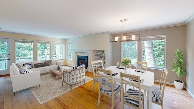 interior space featuring a wealth of natural light, crown molding, and hardwood / wood-style flooring