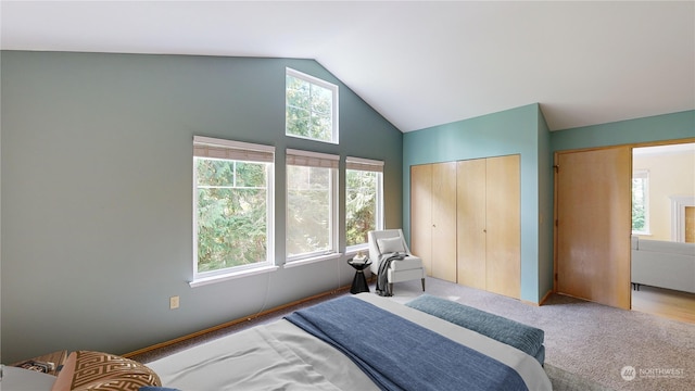 bedroom featuring carpet floors and vaulted ceiling