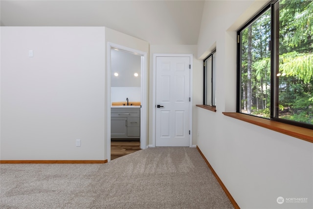 interior space with vaulted ceiling and sink