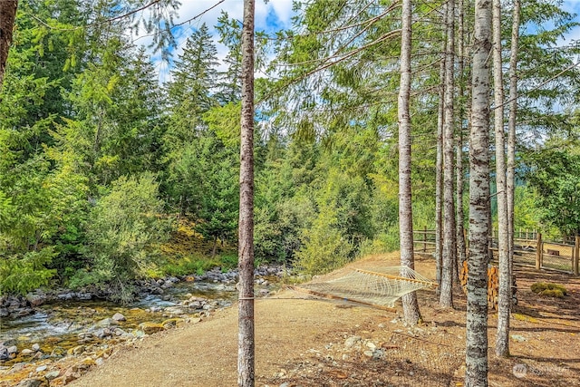 view of local wilderness