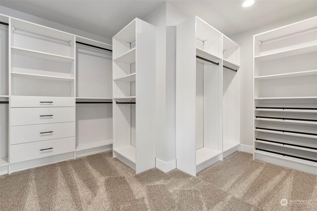 walk in closet featuring light colored carpet