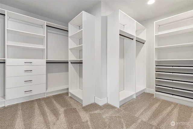 walk in closet featuring carpet floors