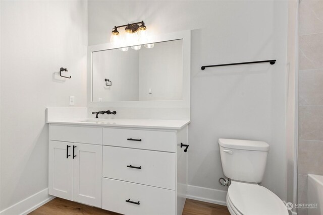 bathroom with toilet, vanity, and wood-type flooring