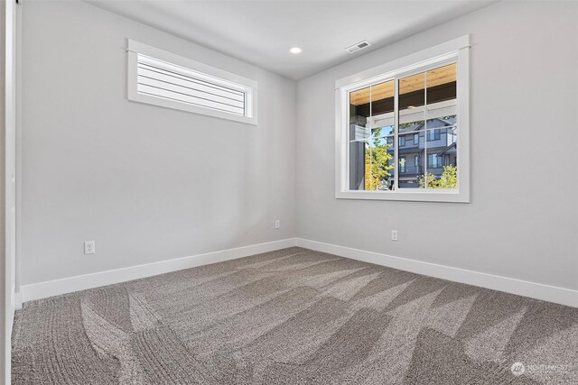 carpeted spare room with a wealth of natural light