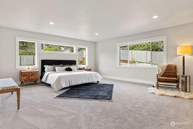 bedroom with carpet flooring and multiple windows