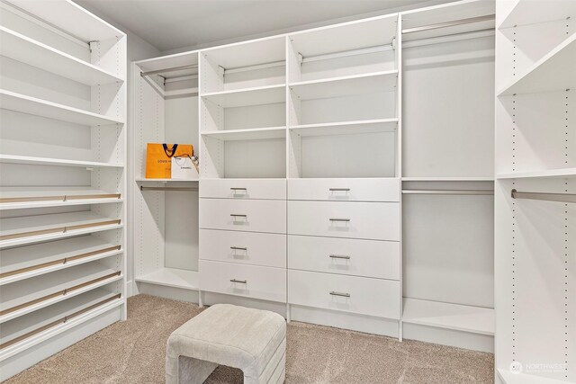 spacious closet with light carpet