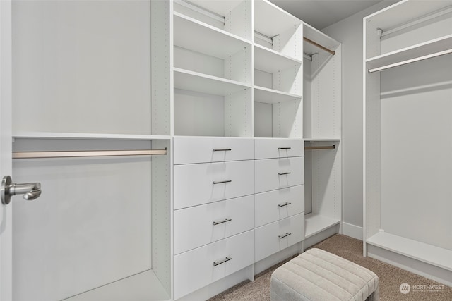 spacious closet with carpet flooring