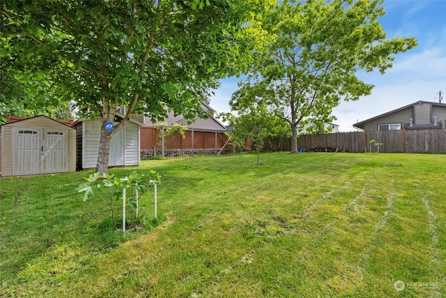 view of yard featuring a storage shed