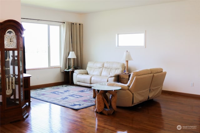 living room featuring hardwood / wood-style floors